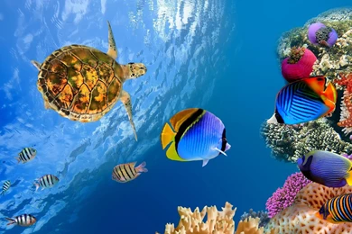 Tuscany Landscape 4k Ultra Hd Wallpapers 4k Wallpapers Net ...