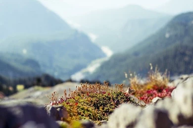 Nature Lake Sunset Landscape Doha Twalight Night Ultrahd 4k ...