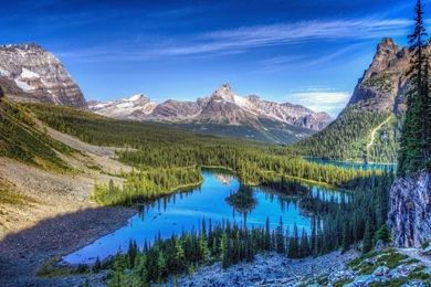 Mountain Forest Landscape 4k Wallpapers