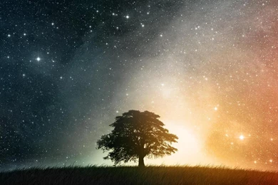 Download Lonesome Tree With Starry Colorful Sky Wallpapers For ...