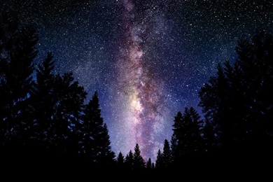 Sky Galaxy Milky Way Forest   Pics About Space