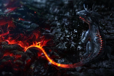 HD Wallpapers 1080P: Little Dragon 3D