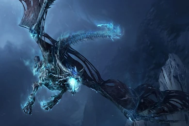 Download Wallpapers 1920x1080 World Of Warcraft, Dragon, Cold ...