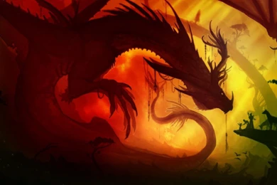 Dragon Wallpapers Hd 1080P   1910982