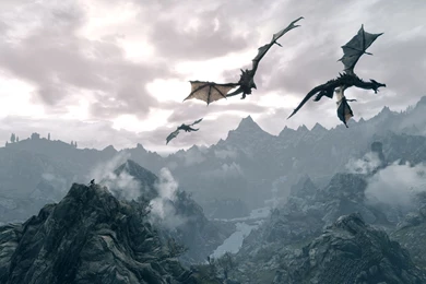 Skyrim Dragon Wallpapers