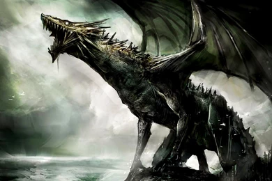 Fantasy Dragon HD Wallpapers