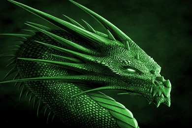 Green Dragon Wallpapers HD Download