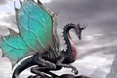 Dragon Computer Wallpapers, Desktop Backgrounds