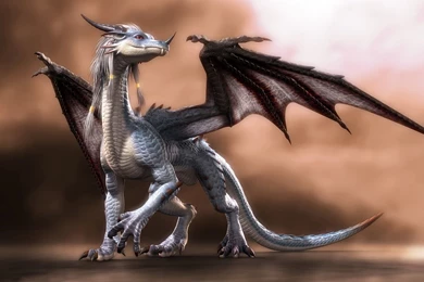 Cute Dragon Wallpapers 27215
