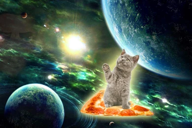 Photoshop Sure Is Weird... : Wallpapers