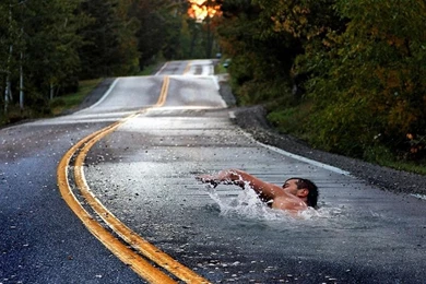 Weird Swimming Windows 8 Wallpapers Wallpapers X