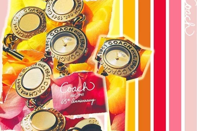 Coach Wallpapers By Favoritism On DeviantArt