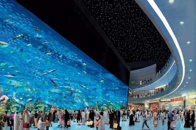 Download Dubai Mall Aquarium Wallpapers