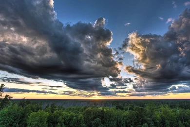 Cloudy Sky Over The Forest, Hill, Tree, Nature, 1920x1080 HD ...