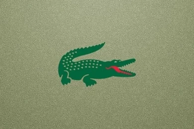 Wallpapers For iPhone 5   Find A Wallpaper, Backgrounds Or Lock ...