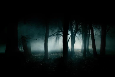 Dark Forest Wallpapers