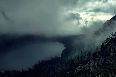 2560x1600 Hilly Dark Forest River & Fog Desktop PC And Mac Wallpapers