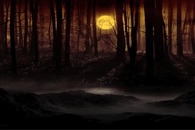 3113) Dark Wolf HD Images Wallpapers   WalOps.com