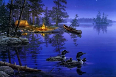 Lovely Good Night Wallpapers ~ Allfreshwallpapers