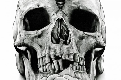 iPhone 5   Dark/Skull   Wallpapers ID: 580054