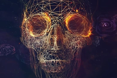 Digital Skull Artwork iPad Air Wallpapers Download