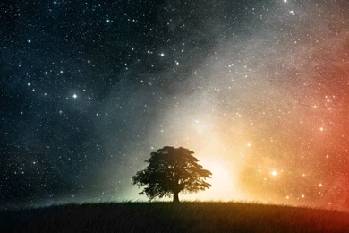 1920x1080 Calico Sky Tree Hill Universe Desktop PC And Mac Wallpapers