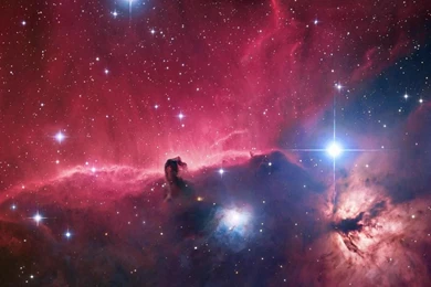 Download Digital Horse Animal Art Wallpapers For Desktop Mobile ...