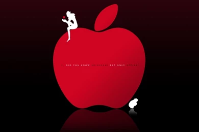 178 Death Note HD Wallpapers