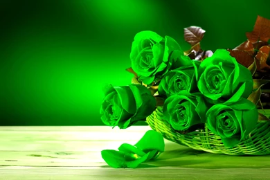 Green rose photos wallpaper widescreen p0h1l4.jpg