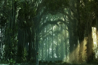 Page 20 › Wallpapers In HD Desktop Resolutions