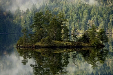 Download Wallpapers 3840x2160 Forest, Lake, Reflection, Island ...