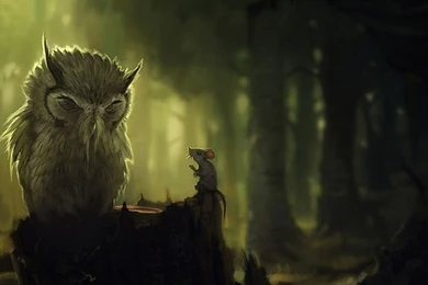 Owl Twitter Cover & Twitter Backgrounds