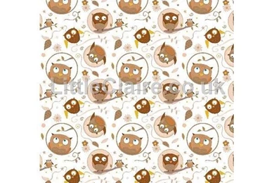 Digi Download   Brown Owl Backgrounds Paper