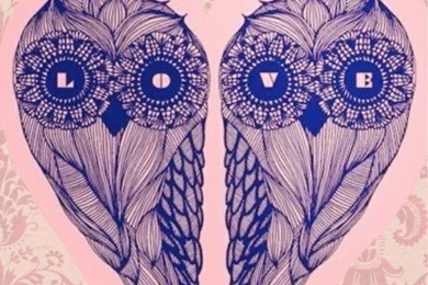 Top Girly Owl Background Images For Pinterest