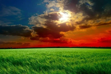 1280x720 Red Sunset Fields Wallpapers