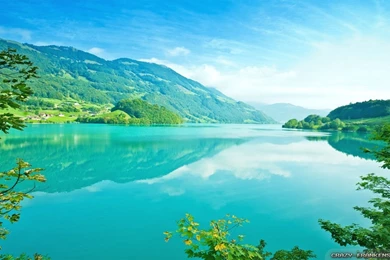 Summer Nature Wallpapers   Crazy Frankenstein