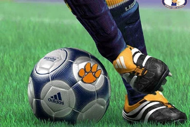 LCS Wallpaper Backgrounds