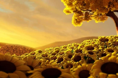 Sunflowers World HD 1280x720 Wallpapers, 1280x720 Wallpapers ...
