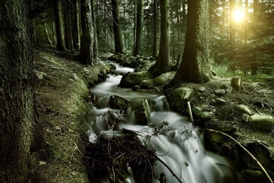 Waterfall HD Wallpapers 1280x720 Wallpapers, 1280x720 Wallpapers ...