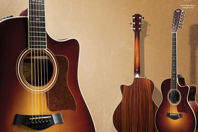 Taylor Guitars: Taylor Guitars   Wallpapers