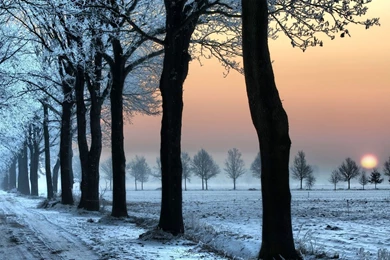 Country Road On A Winter Sunset Wallpapers 27928