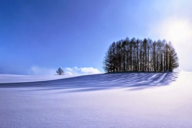 Winter HD Wallpapers