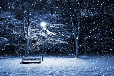 Winter Snow Backgrounds
