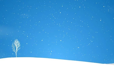 Winter Hd Wallpapers 1080P 1750768