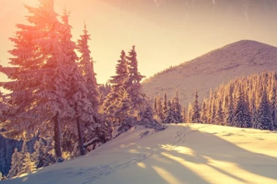 Mobile Phone HD Wallpapers