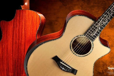 Taylor Guitars: Taylor Guitars   Wallpapers