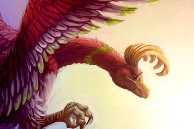 Pokemon Phone Wallpapers   Album On Imgur