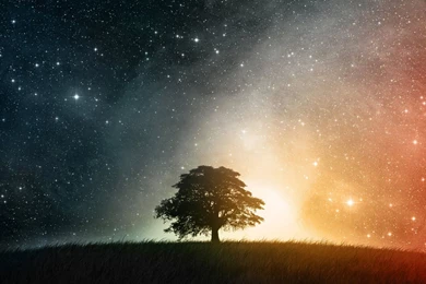 Top Sky Night Tree Starry Images For Pinterest