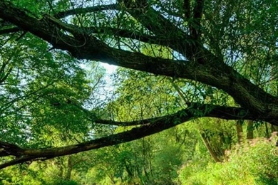 Cool Building Architecture Iphone 4 Wallpapers Free 640x960 Pop Hd ...