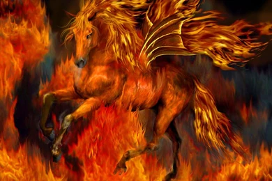 Fire Horse Wallpapers Hd Free Download